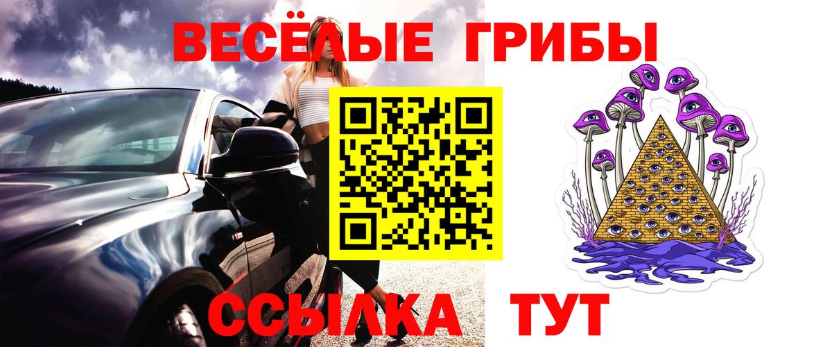 Краснознаменск  Псилоцибиновые грибы ЛСД  Вход с VPN 
